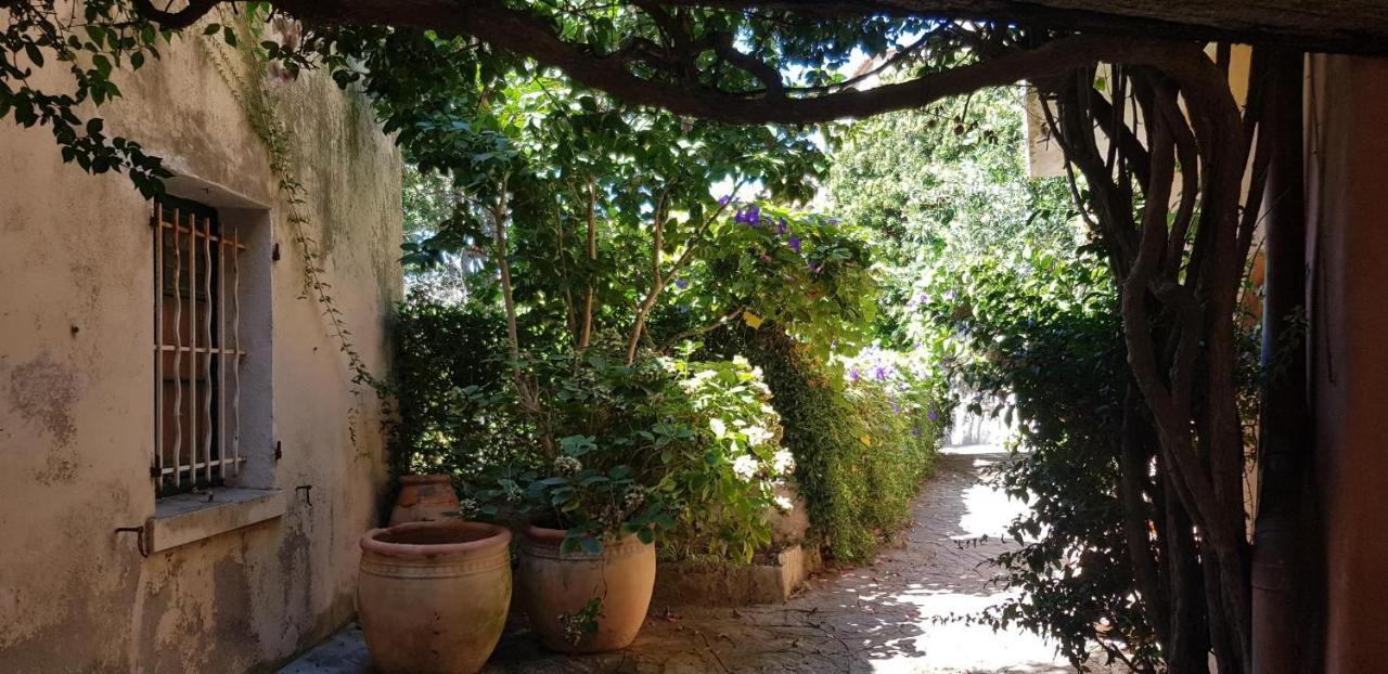 L'Odyssee Provencale, Un Duplex De Charme De 2 Chambres Au Pied Du Village Medieval De Bormes-Les-Mimosas, Offrant Des Prestations Haut De Gamme Et Une Superbe Vue Sur Le Massif Des Maures Esterno foto